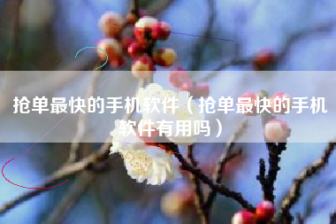 抢单最快的手机软件（抢单最快的手机软件有用吗）