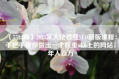 （5594期）2023某大佬收费SEO新版课程：手把手带你做出一个权重6以上的网站，年入百万