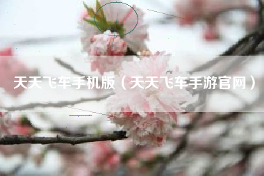 天天飞车手机版（天天飞车手游官网）