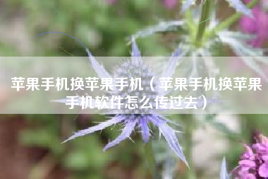 苹果手机换苹果手机（苹果手机换苹果手机软件怎么传过去）