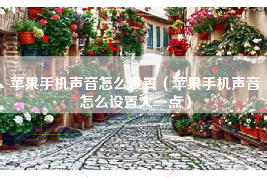 苹果手机声音怎么设置（苹果手机声音怎么设置大一点）