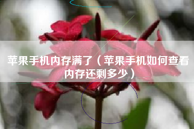 苹果手机内存满了（苹果手机如何查看内存还剩多少）