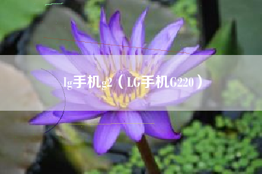 lg手机g2（LG手机G220）