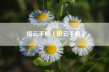 佰云手机（铂云手机）