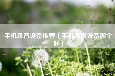 手机录音设备推荐（手机录音设备哪个好）