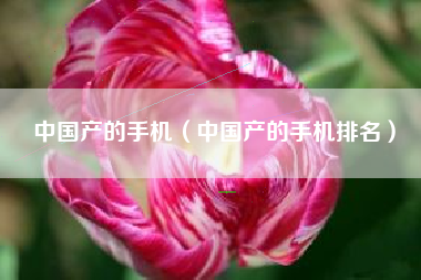 中国产的手机（中国产的手机排名）