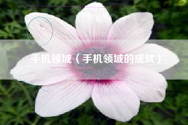 手机领域（手机领域的成就）