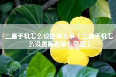 三星手机怎么设置黑名单（三星手机怎么设置黑名单在哪里）