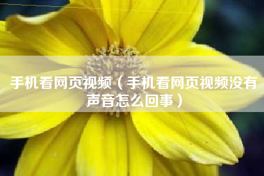 手机看网页视频（手机看网页视频没有声音怎么回事）