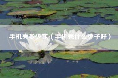 手机壳多少钱（手机壳什么牌子好）