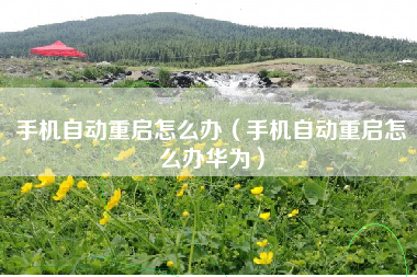 手机自动重启怎么办（手机自动重启怎么办华为）