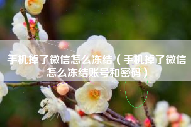 手机掉了微信怎么冻结（手机掉了微信怎么冻结账号和密码）