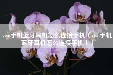 vivo手机蓝牙耳机怎么连接手机（vivo手机蓝牙耳机怎么连接手机上）