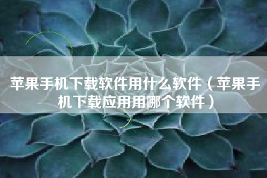 苹果手机下载软件用什么软件（苹果手机下载应用用哪个软件）
