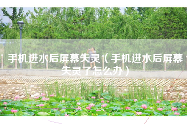 手机进水后屏幕失灵（手机进水后屏幕失灵了怎么办）