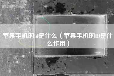 苹果手机的id是什么（苹果手机的ID是什么作用）