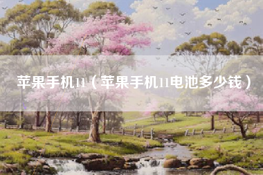 苹果手机11（苹果手机11电池多少钱）