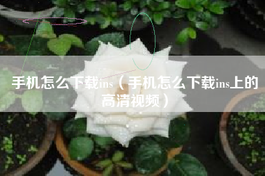 手机怎么下载ins（手机怎么下载ins上的高清视频）