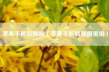苹果手机转圈圈（苹果手机转圈圈黑屏）