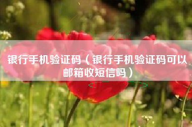 银行手机验证码（银行手机验证码可以邮箱收短信吗）