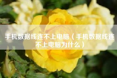 手机数据线连不上电脑（手机数据线连不上电脑为什么）