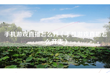 手机游戏直播怎么开（手机游戏直播怎么开麦）