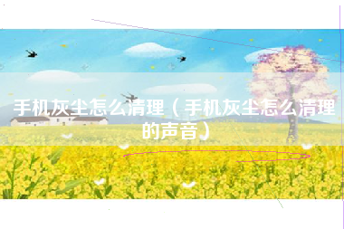 手机灰尘怎么清理（手机灰尘怎么清理的声音）