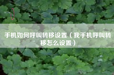 手机如何呼叫转移设置（我手机呼叫转移怎么设置）