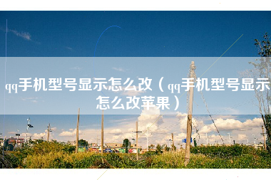 qq手机型号显示怎么改（qq手机型号显示怎么改苹果）