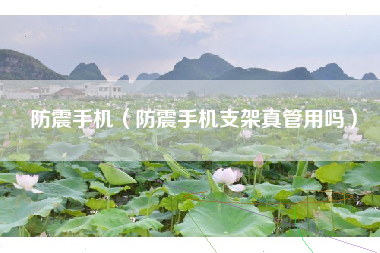 防震手机（防震手机支架真管用吗）