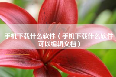 手机下载什么软件（手机下载什么软件可以编辑文档）