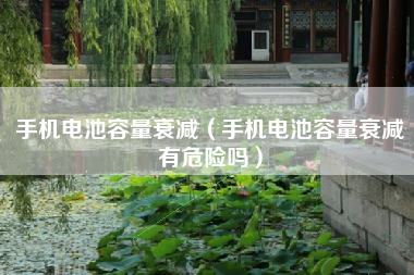 手机电池容量衰减（手机电池容量衰减有危险吗）