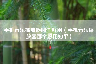 手机音乐播放器哪个好用（手机音乐播放器哪个好用知乎）