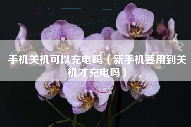 手机关机可以充电吗（新手机要用到关机才充电吗）