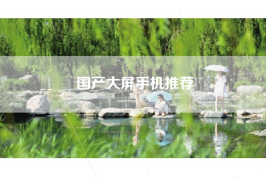 国产大屏手机推荐
