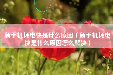 新手机耗电快是什么原因（新手机耗电快是什么原因怎么解决）