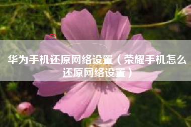 华为手机还原网络设置（荣耀手机怎么还原网络设置）