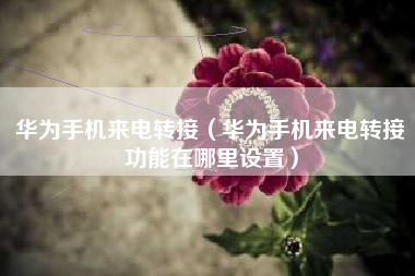 华为手机来电转接（华为手机来电转接功能在哪里设置）