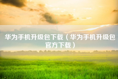 华为手机升级包下载（华为手机升级包官方下载）