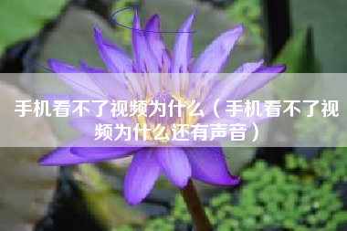 手机看不了视频为什么（手机看不了视频为什么还有声音）