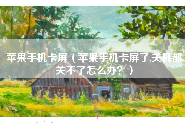 苹果手机卡屏（苹果手机卡屏了,关机都关不了怎么办？）