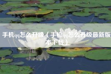 手机qq怎么升级（手机qq怎么升级最新版本下载）