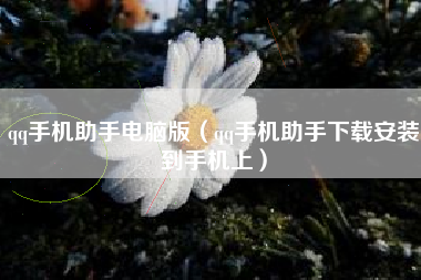 qq手机助手电脑版（qq手机助手下载安装到手机上）