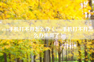 vivo手机打不开怎么办（vivo手机打不开怎么办黑屏了）