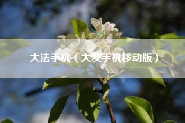 大法手机（大发手机移动版）