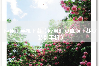 应用汇手机下载（应用汇安卓版下载安装到手机）