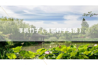 手机竹子（手机竹子头像）