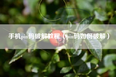 手机pin码破解教程（pin码如何破解）