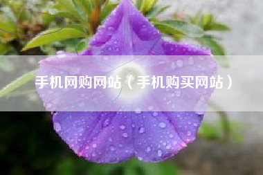 手机网购网站（手机购买网站）