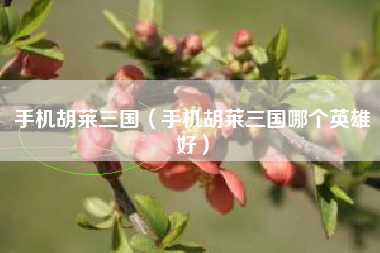 手机胡莱三国（手机胡莱三国哪个英雄好）